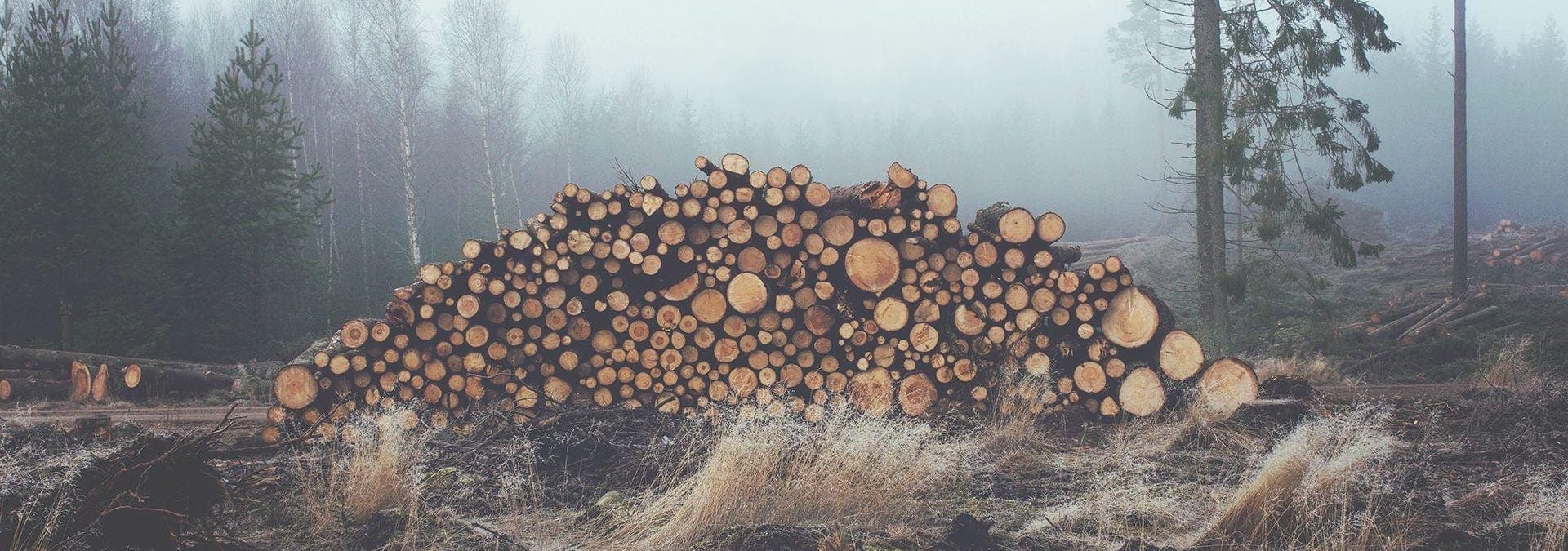 The hunt for interested users browsing a Ghost website.